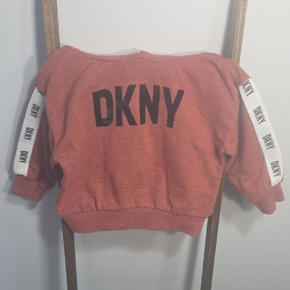 DKNY Kids Brick Red Sweatshirt with Logo Sleeves
